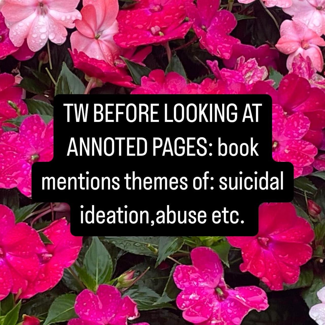 ♡Light Filters in Poems by Caroline Kaufman ♡In... Depop