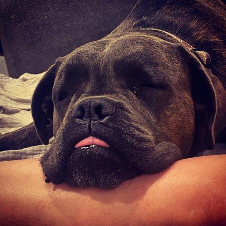 Alf The Label Ted Tote Nappy Bag in Black with Depop