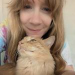 sugarhoneysweets's profile picture