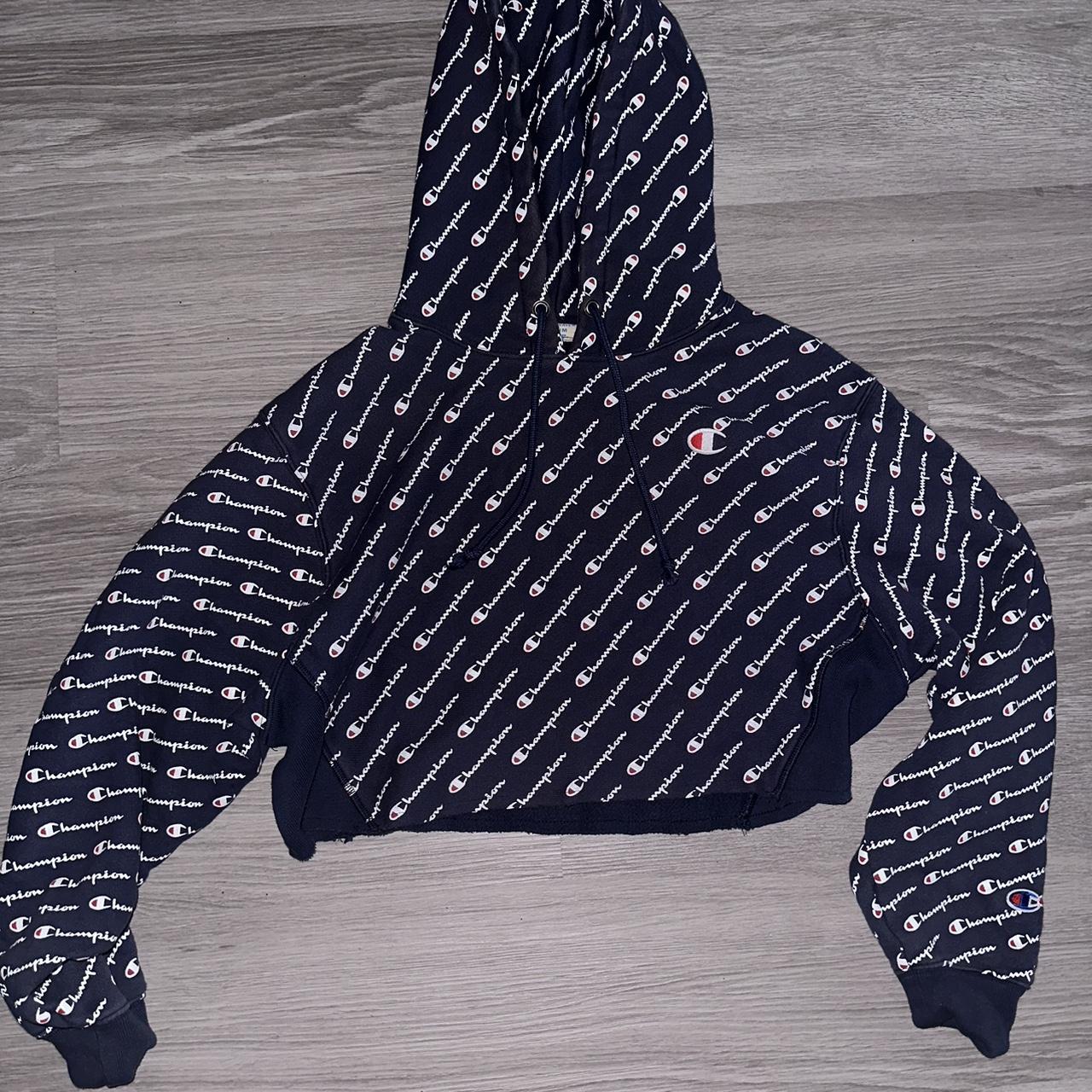 Supreme champion cropped discount hoodie