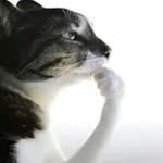 ke1yk0's profile picture