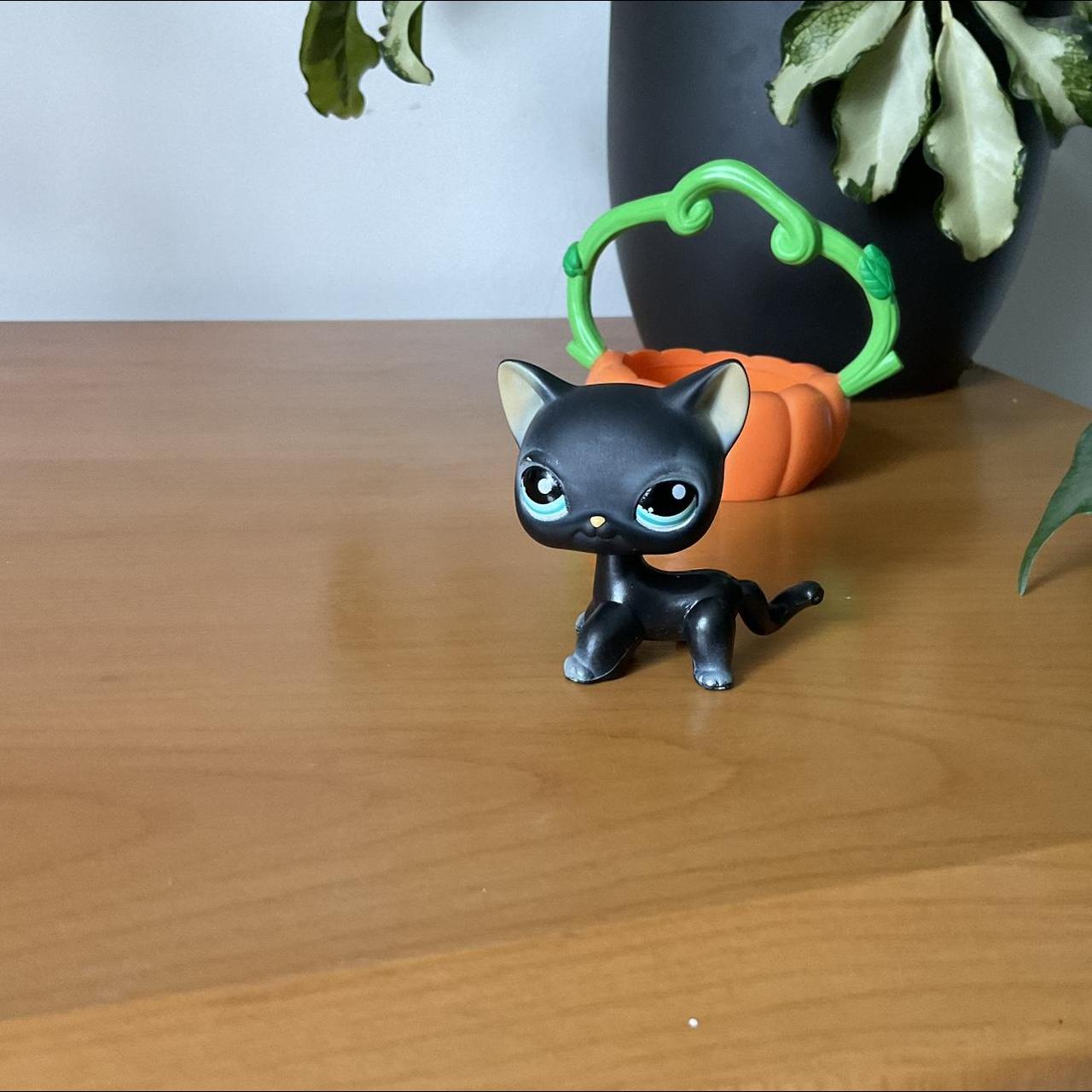 Littlest pet shop black cat best sale