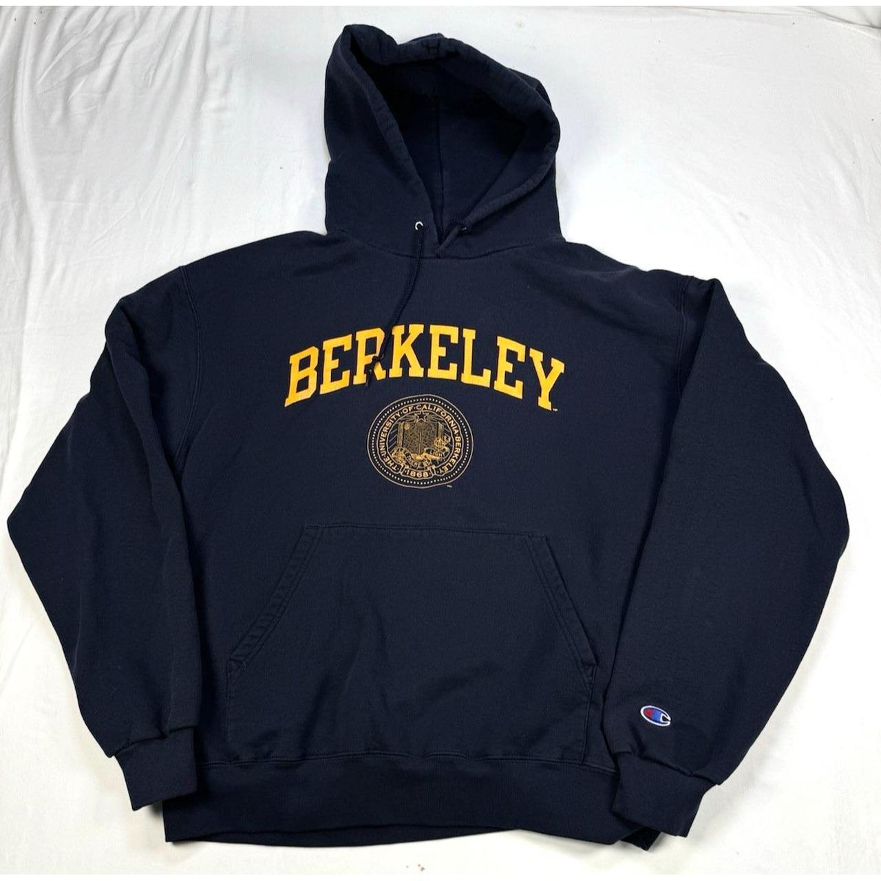 Champion Men's Hoodie - Blue - L – Vtg Champion H… - image 2