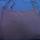item listed by q8qydkcd4t