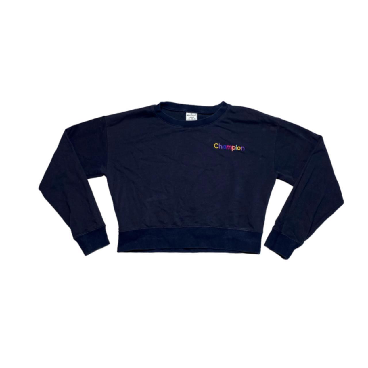 Champion hot sale rainbow sweater