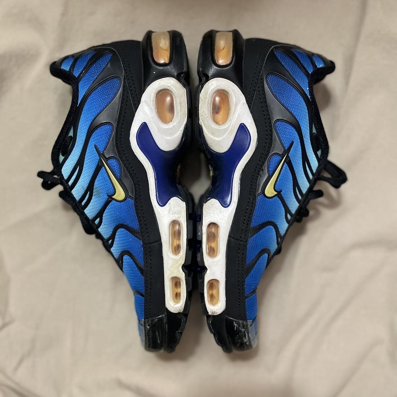 tn plus 3 blue