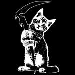 1nternalvoid's profile picture