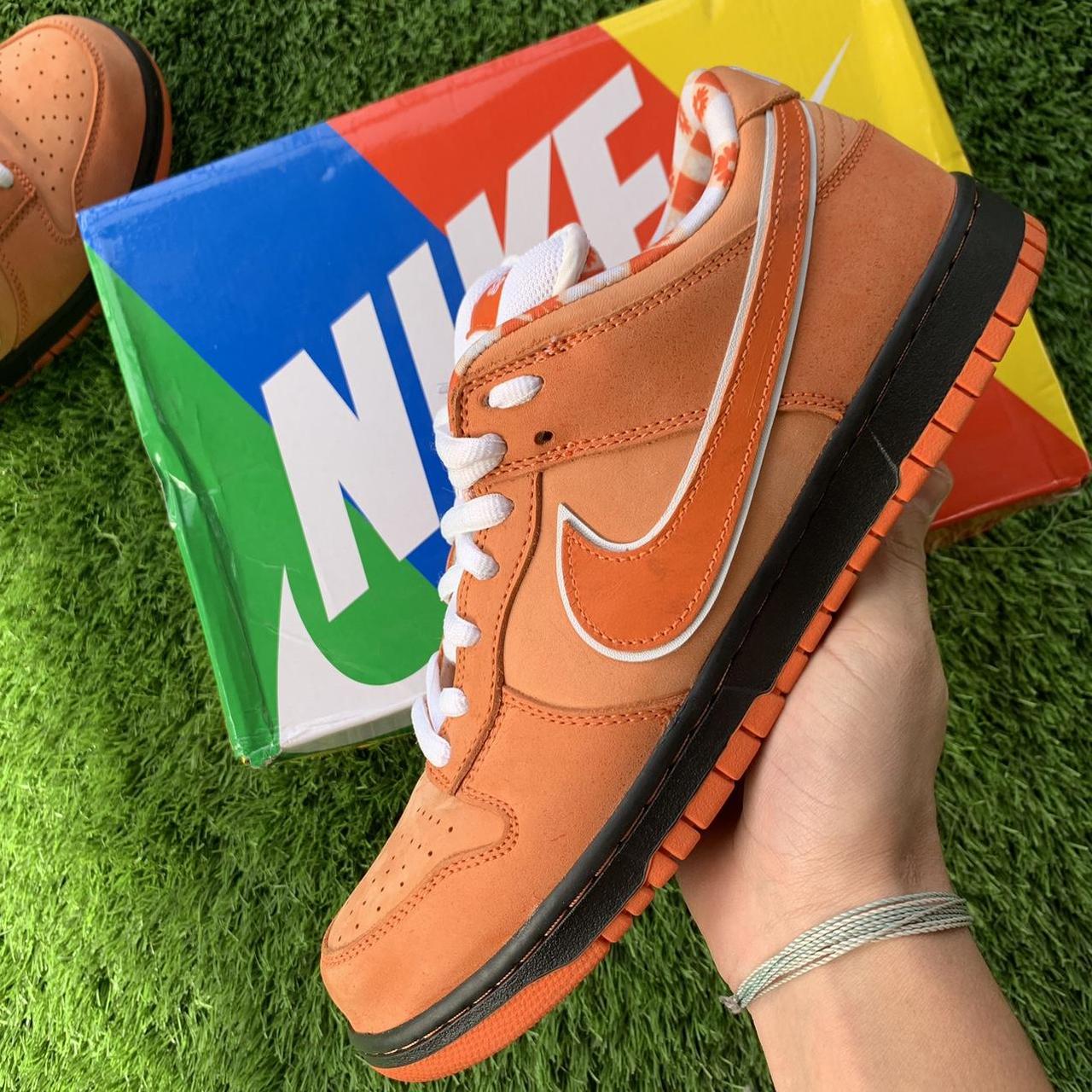 Nike sb dunks Orange lobsters Men’s size 11.5... Depop