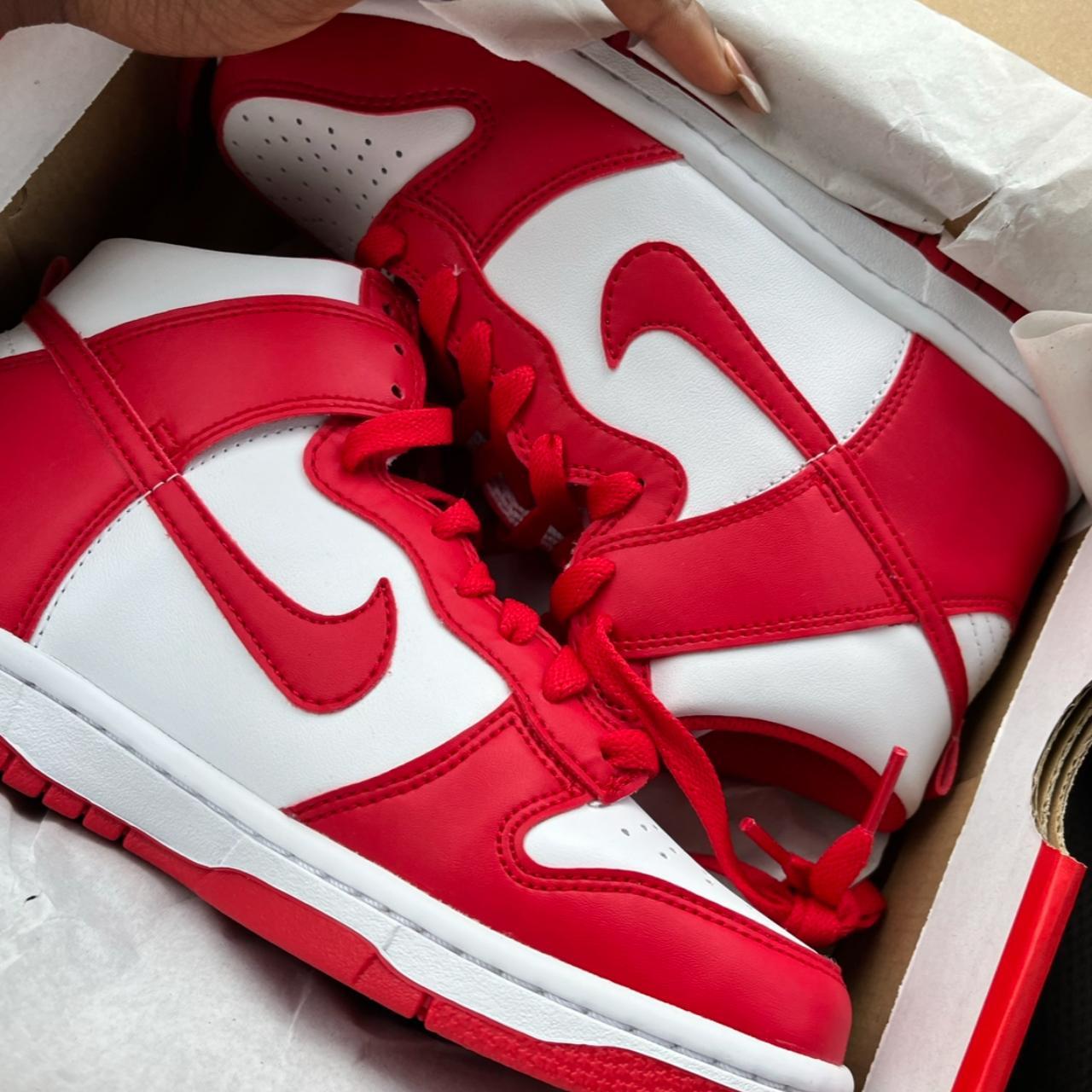 4000 nike dunks