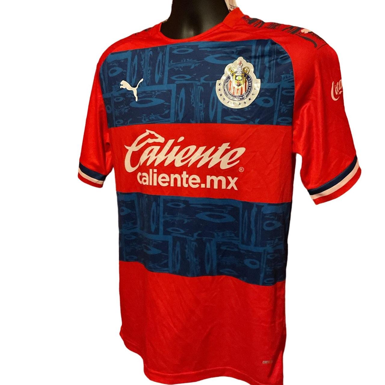 Puma trikot 2019 online