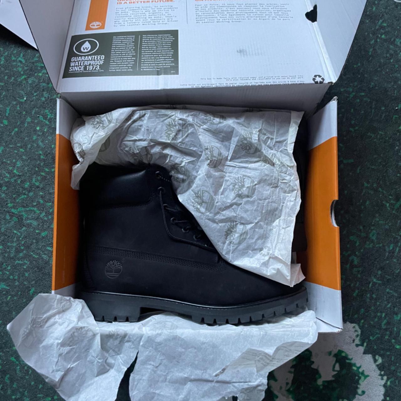 timberland major