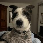 suzieing's profile picture