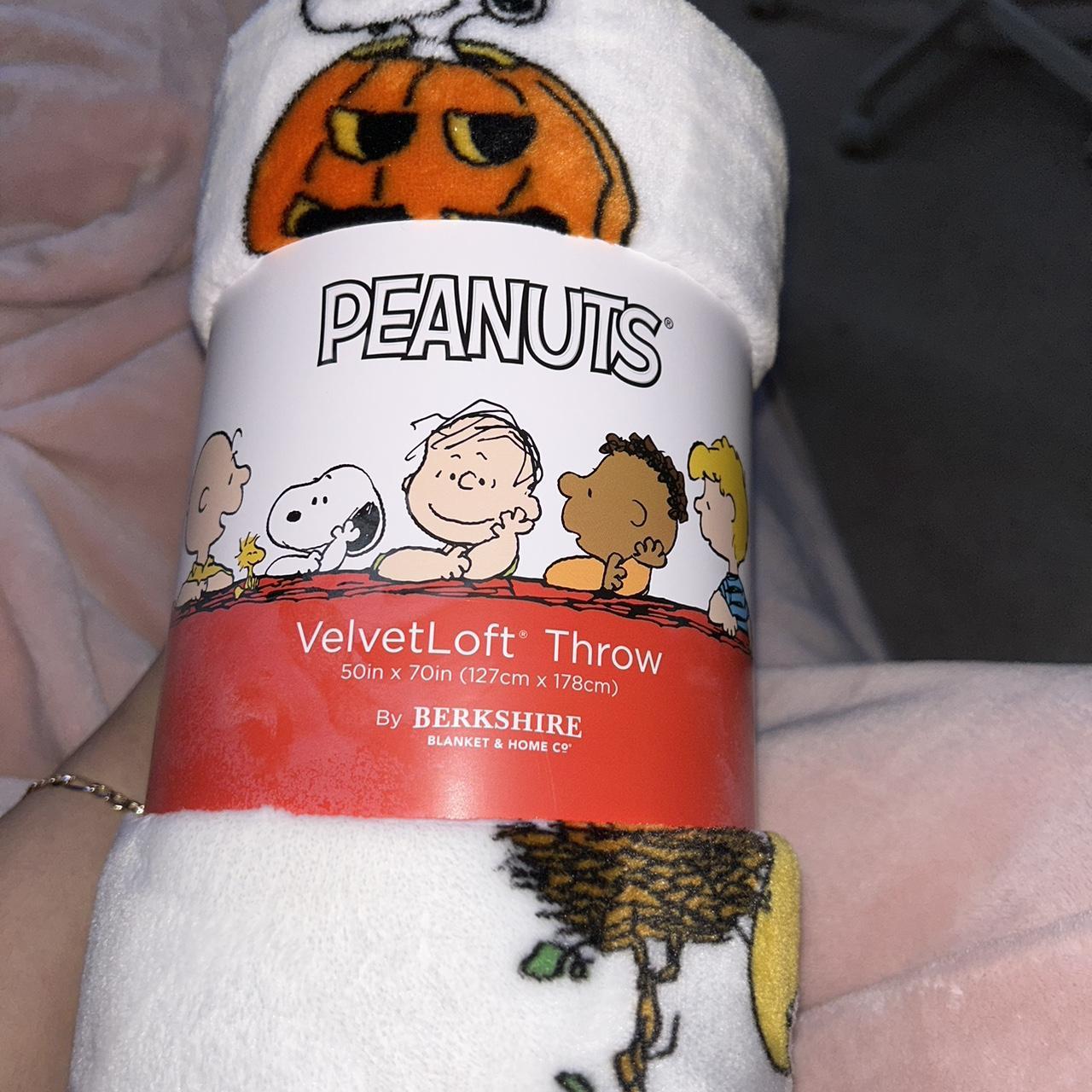 Snoopy blanket , from homegoods brand new !! Sold... Depop