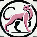 voovs's profile picture