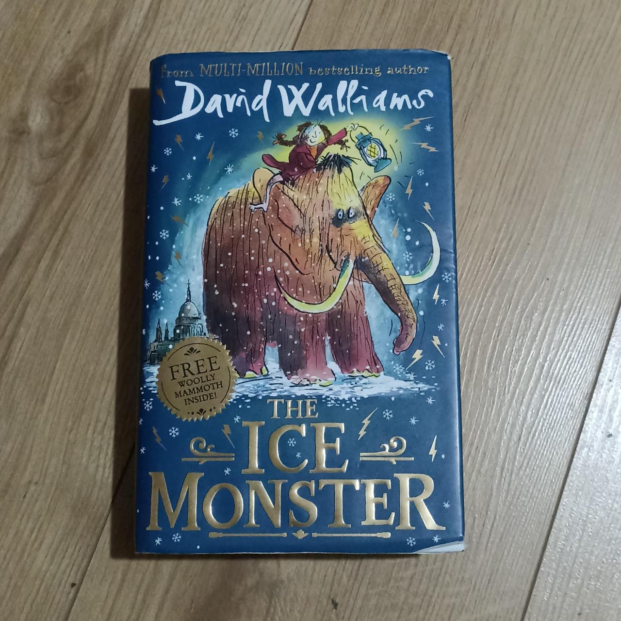 The Ice Monster by David Walliams Good Quality, Read... - Depop