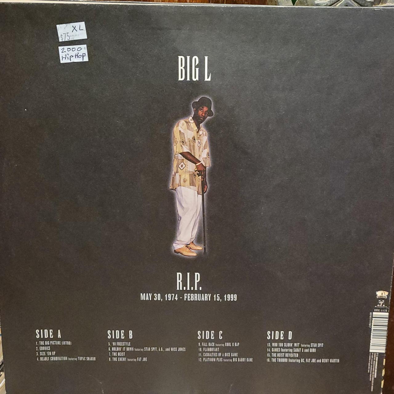 廃盤LP Big L The Big Picture 2枚組 レコード 廃盤LP Big L The Big Picture 2枚組 レコード - メルカリ