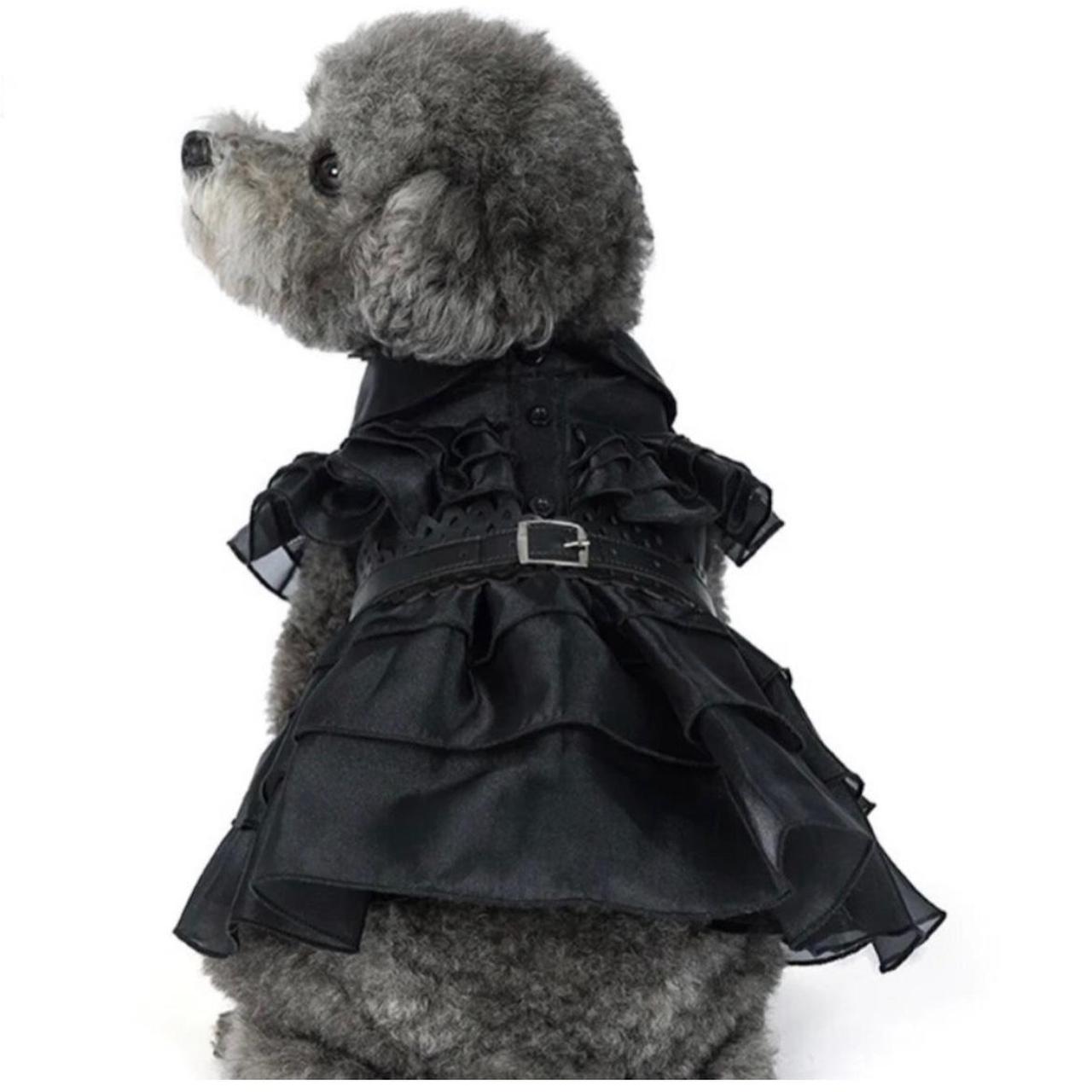 item listed by customhautecouture
