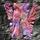 item listed by customhautecouture