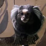 lxiviiii's profile picture