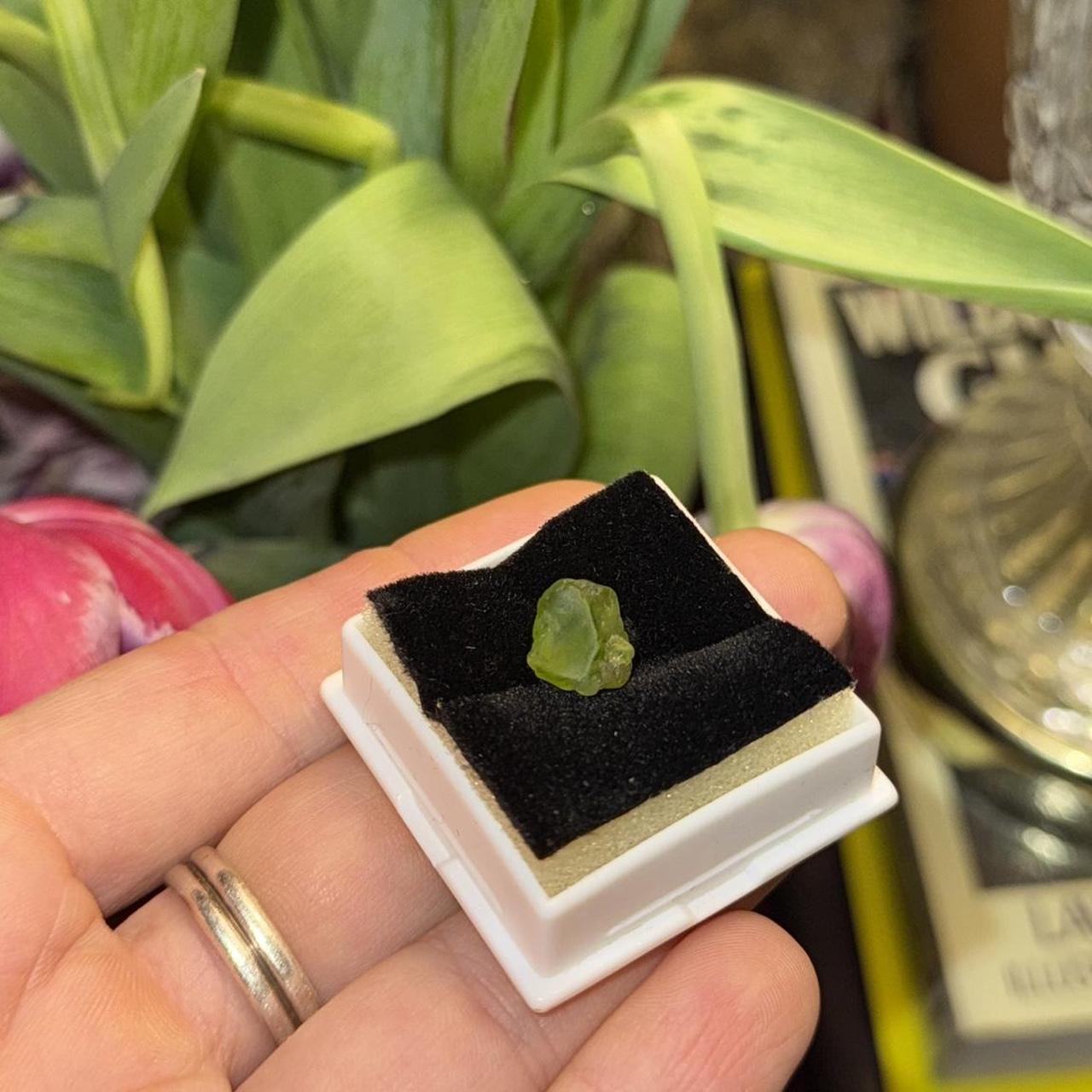 item listed by megkrukowski