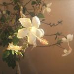 kat_snor's profile picture