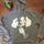item listed by chronically0utside