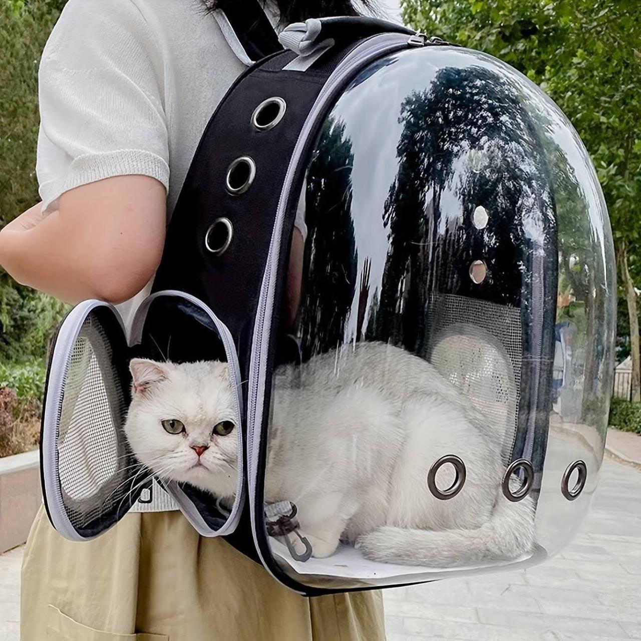 Bubble cat carrier online