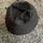 item listed by randyplaisance