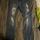 item listed by ryleigh_h09