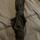 item listed by ryleigh_h09