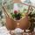 item listed by lulu_b_by_kimberly