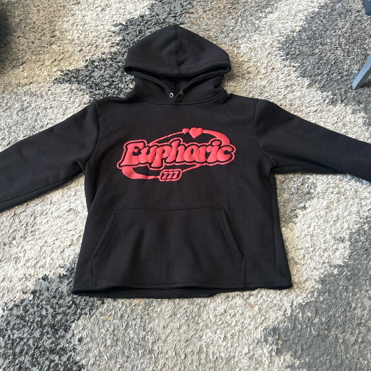 Medium Euphoric Hoodie Cropped Used a few times Puff... - Depop