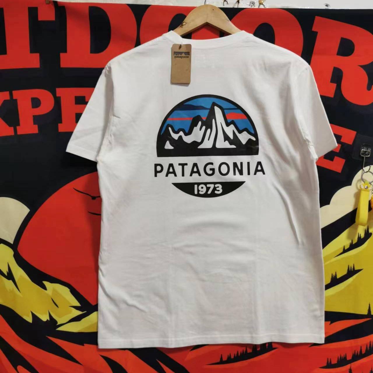 Patagonia 1973 cheap logo t-shirt