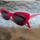 item listed by mdcampani