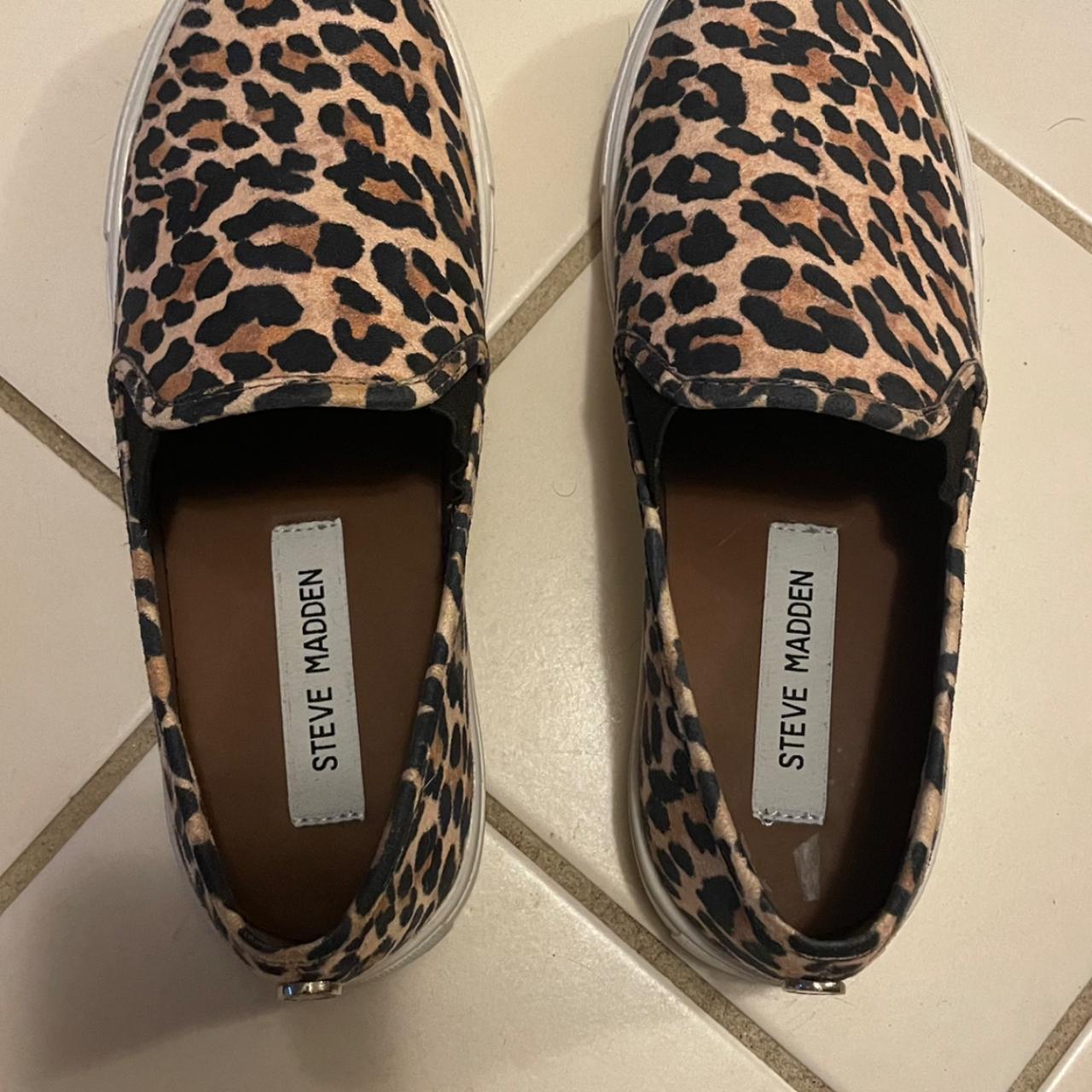 philip leopard steve madden