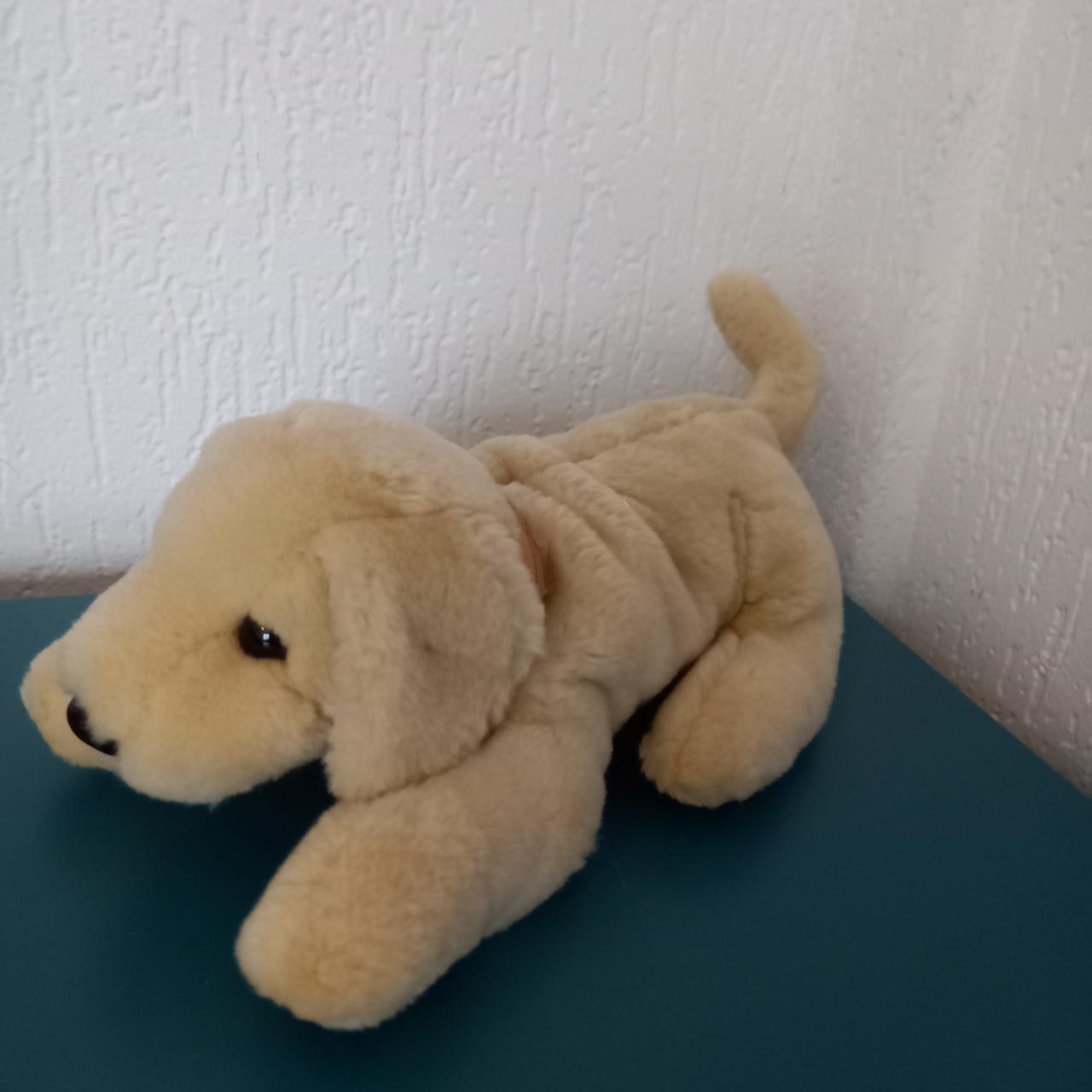 Andrex Puppy Soft Toy, 20cm - Depop