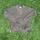 item listed by bambamcam_