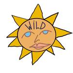 wildsunthrift's profile picture