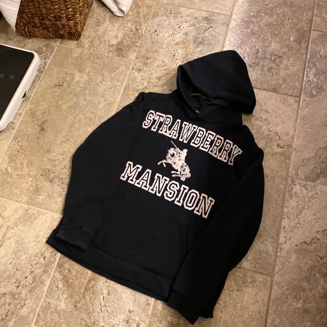 Unwanted strawberry mansion hoodie size m fits tts... - Depop