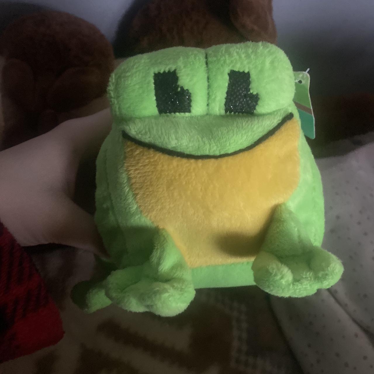 Frog plushie - Depop