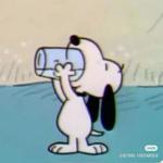 toasterdogs's profile picture