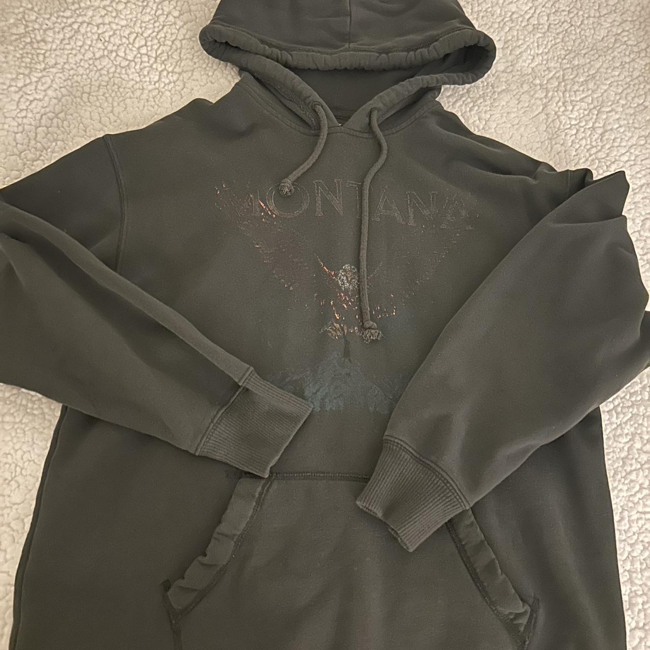 Hollister hot sale co hoodies