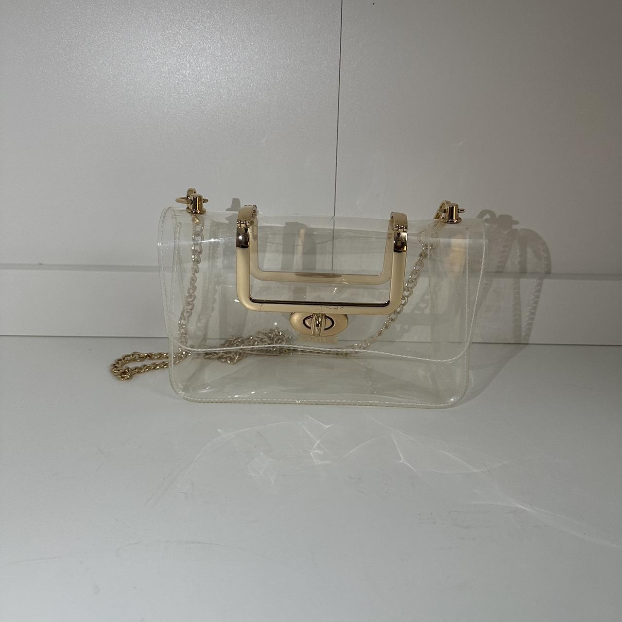 Aldo Clear and gold bag