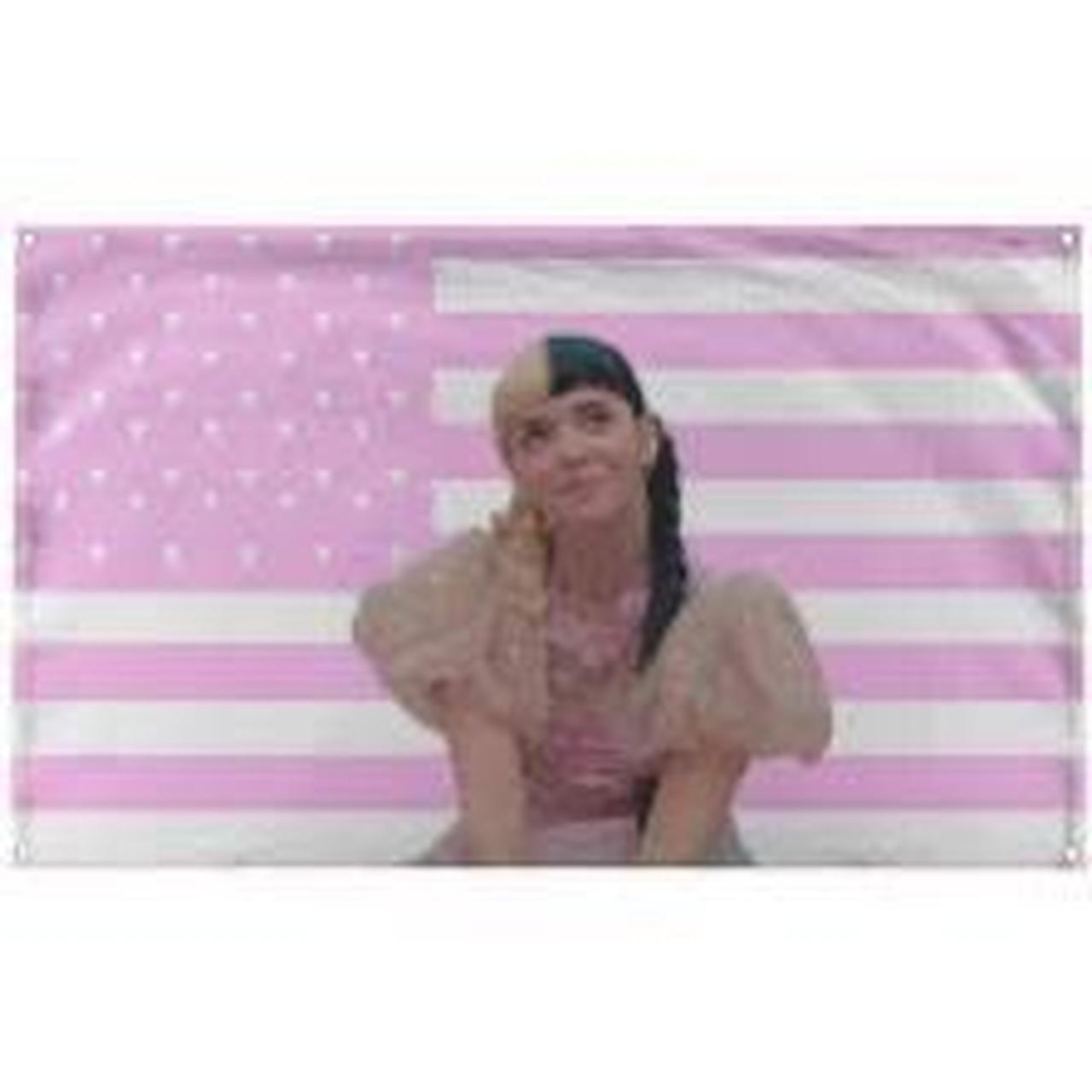 Melanie Martinez Pink American flag tapestry 3x5... - Depop