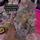 item listed by 5stardollhouse_