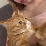 tomate_lovr's profile picture