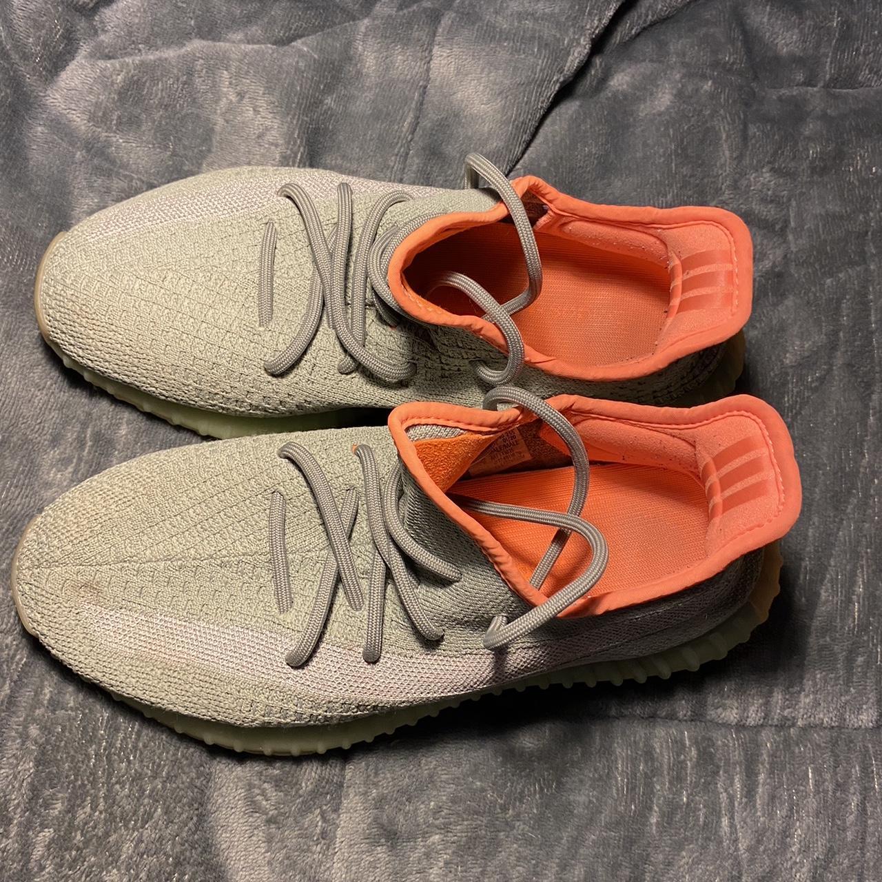 yeezy desert sage size 8