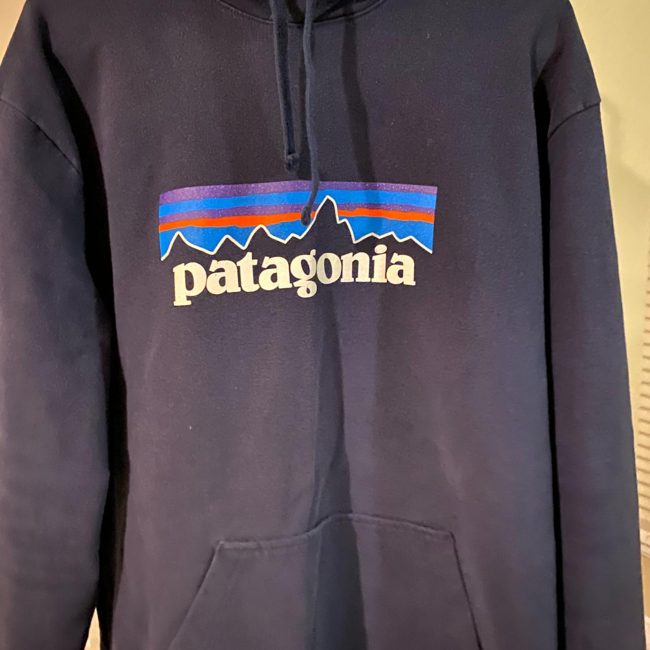 Patagonia Hoodie - Depop