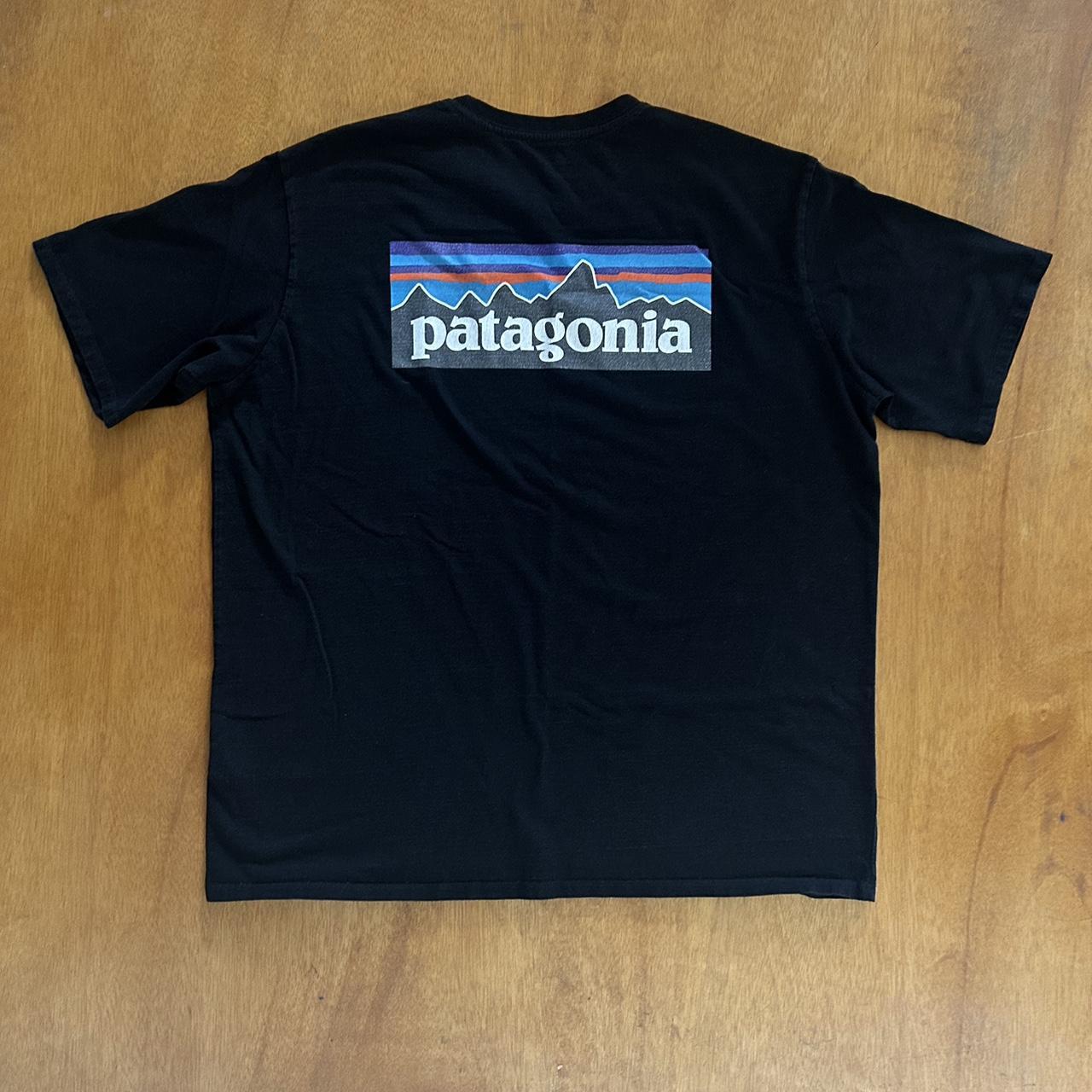 Patagonia T-Shirt Color: black Size large but... - Depop