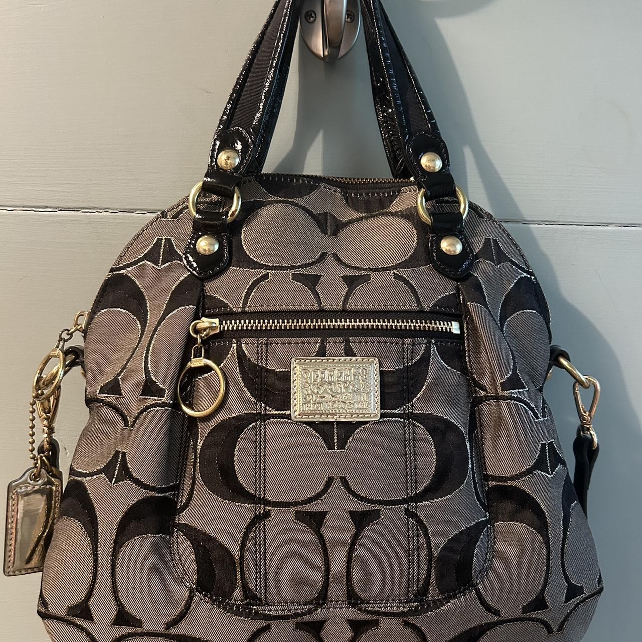 Coach Poppy Metallic Bag buy